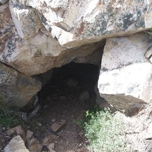 Meet your Posher, Liston